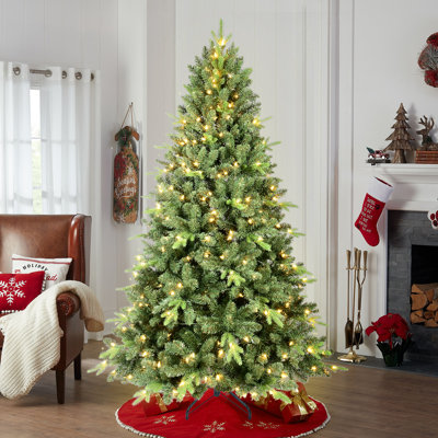 Wayfair.com - Online Home Store for Furniture, Decor, Outdoors & More